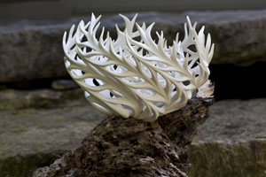 Jennifer McCurdy Nest